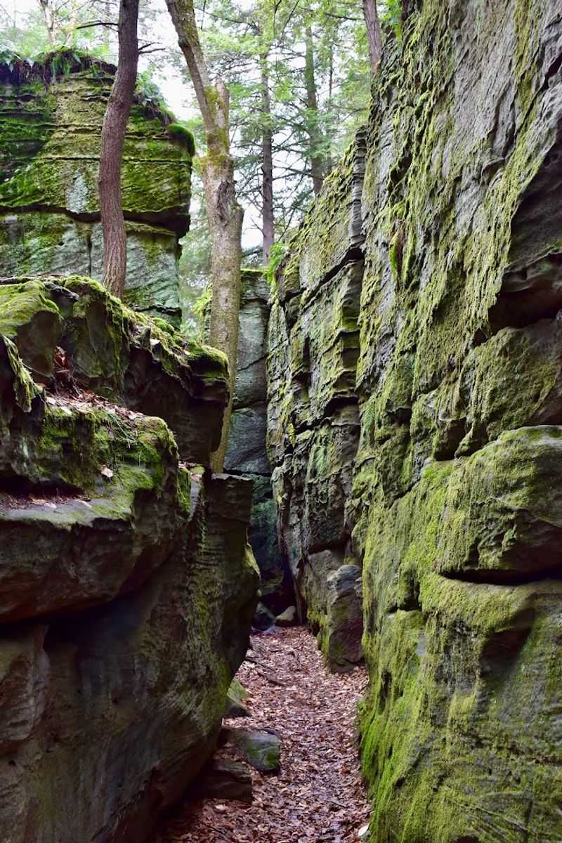 The Natural Labyrinth of Passages