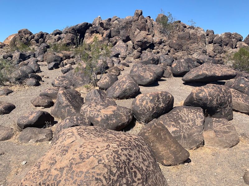 The Ancient Art On The Rocks