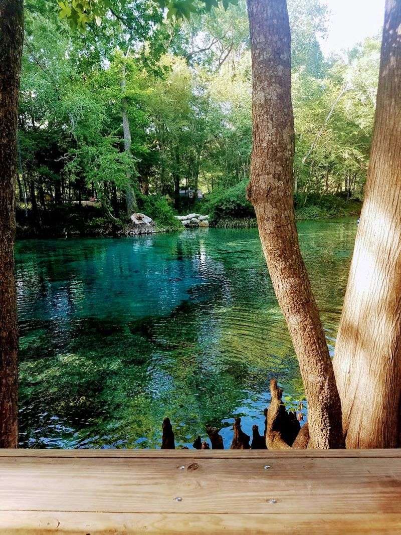 Manatees Using Springs As Warm-Weather Refuges