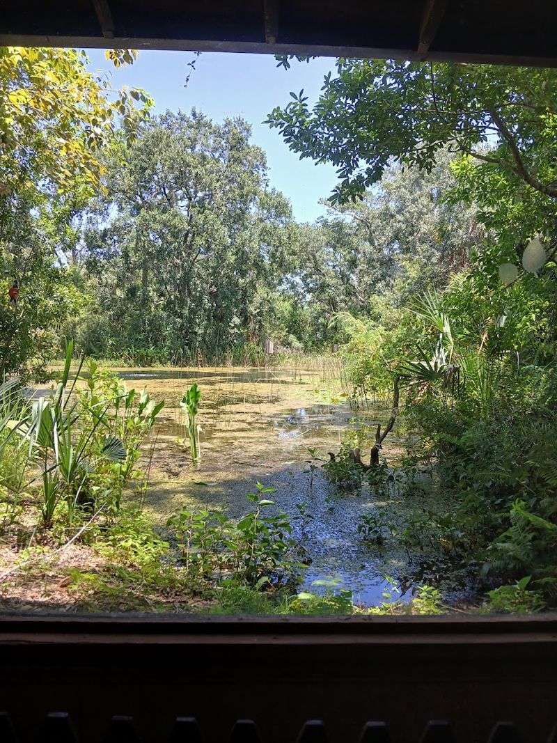 The Window By The Pond And The Art Hidden In Plain Sight