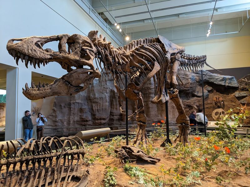 Carnegie Museum Of Natural History, Pittsburgh, Pennsylvania