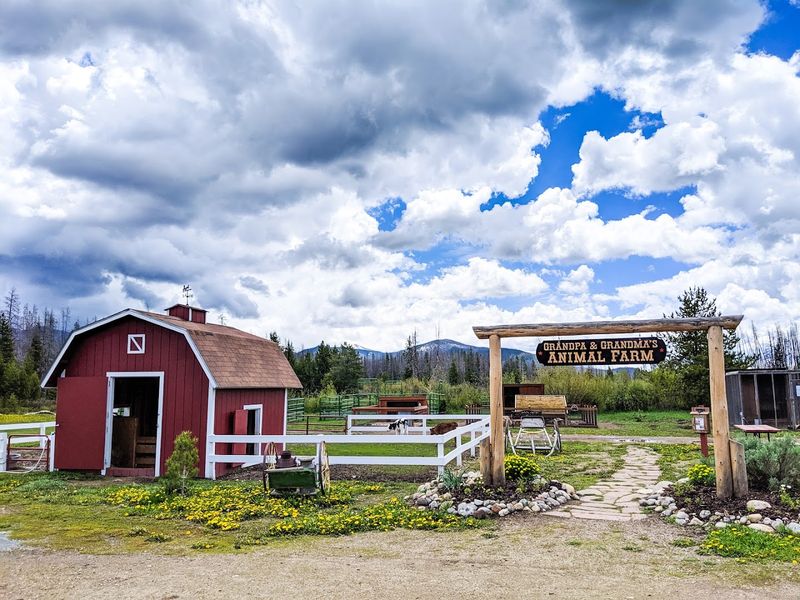 The Animal Farm, Playgrounds, And Every Reason Kids Will Beg To Come Back