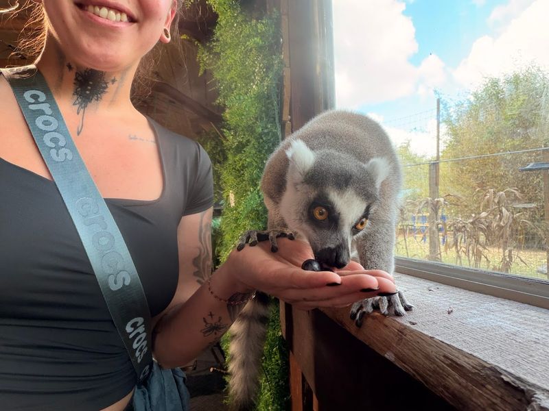 The Guides Here Are Genuinely Exceptional