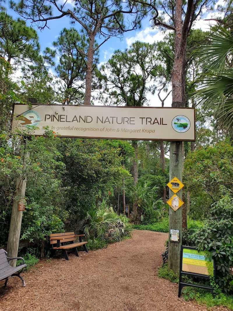 How The Tour Works And What To Expect