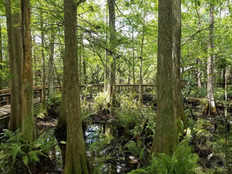 Hours, Tickets, And Planning Your Visit