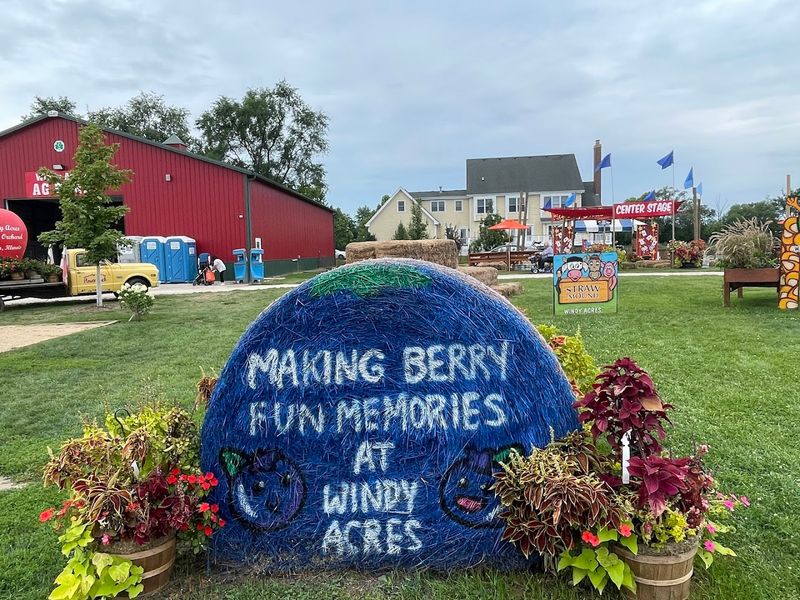 Donut Decorating And Sweet Treats 