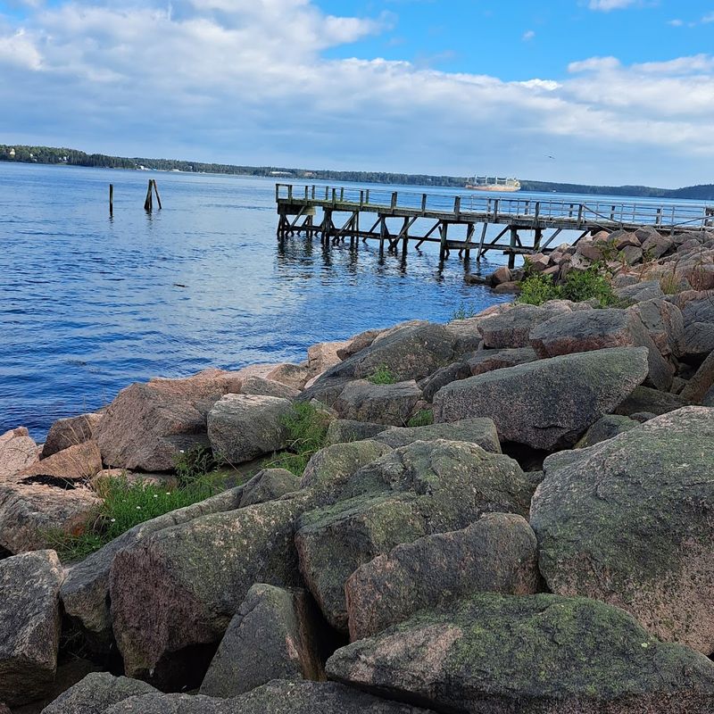 Incredible Birdwatching Along The Coastline