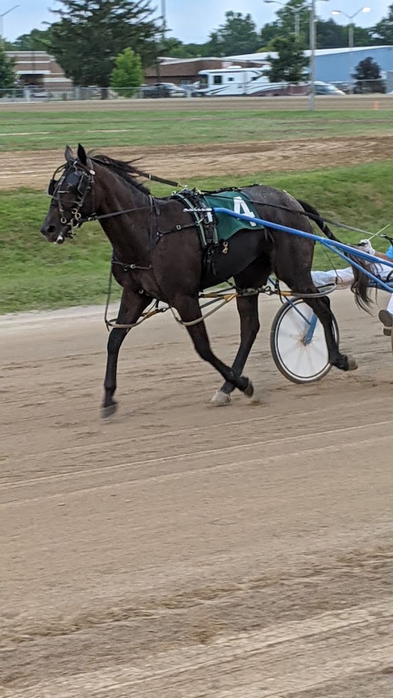 The Annual Greene County Fair: Pure Summer Magic