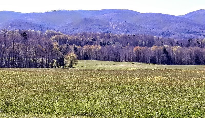 The Cranberry Bogs That Made Me Do a Double Take