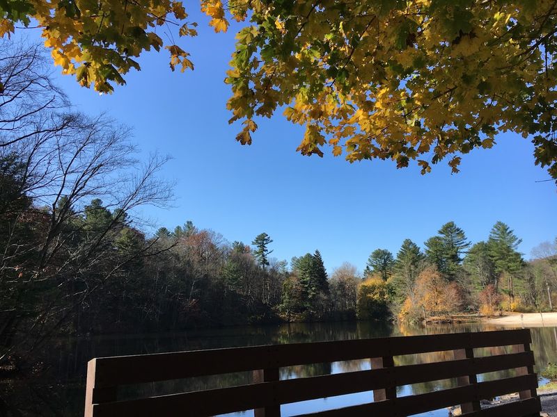 The Appalachian Trail Halfway Point Is Right Here