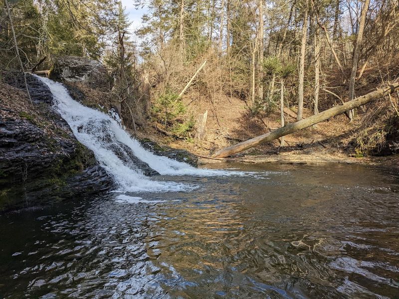 Swimming Areas Along the River That Feel Like Hidden Rewards