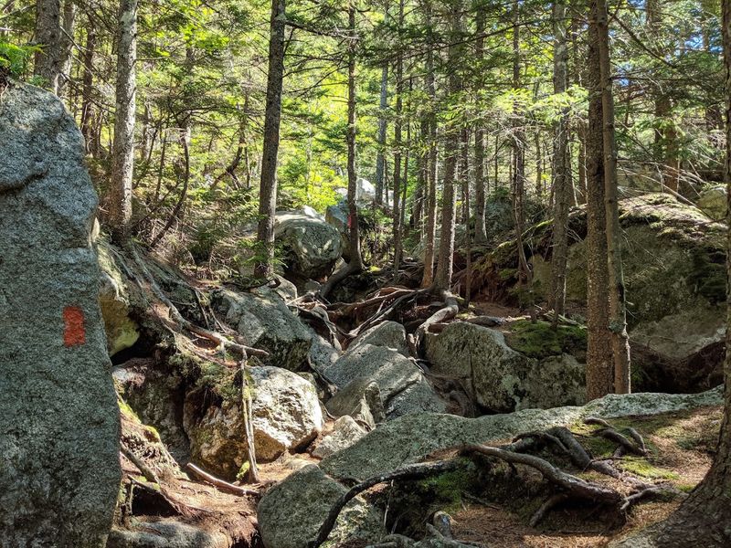 The Appalachian Trail Runs Here The Appalachian Trail Runs Here