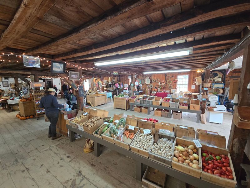The Apple Farm