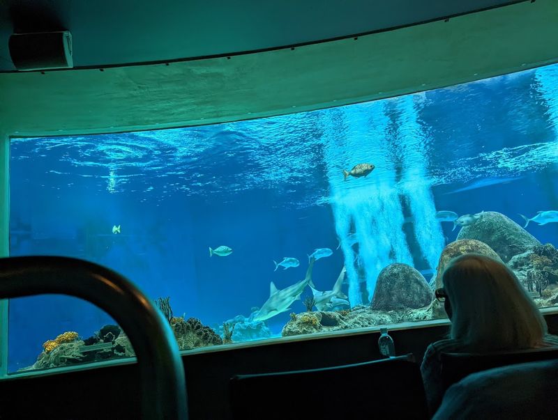 The Aqua Lobby Immersive Experience The Aqua Lobby Immersive Experience