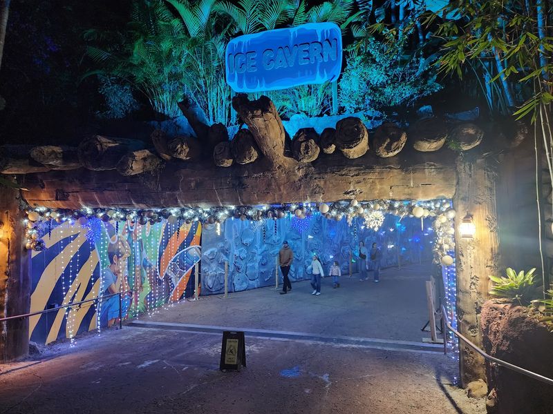 The Aquarium Hosts Adults-Only Evening Events The Aquarium Hosts Adults-Only Evening Events