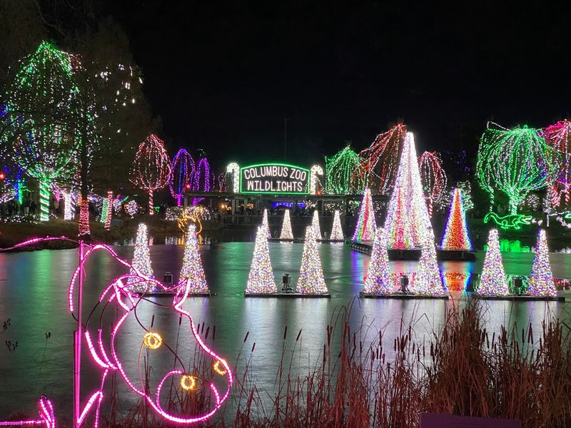 Wildlights and the Holiday Magic That Takes Over the Park