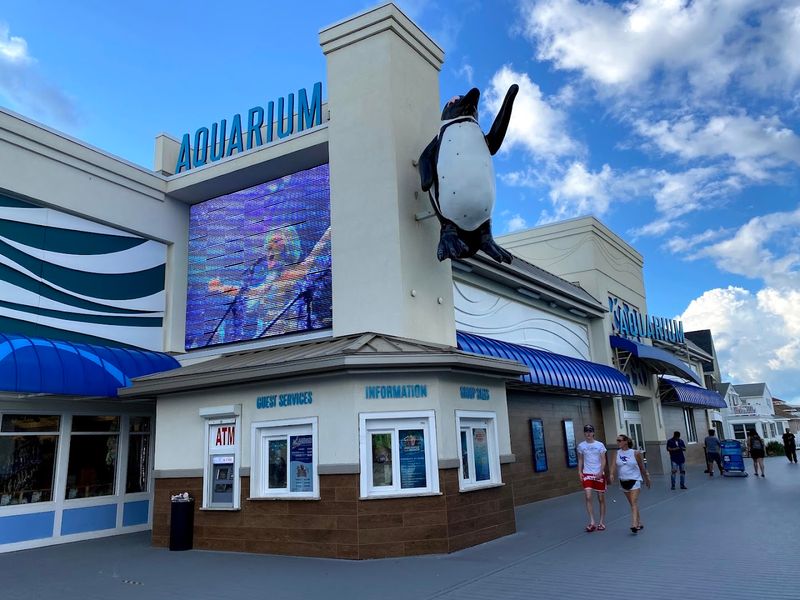 The Aquarium That Will Genuinely Surprise You