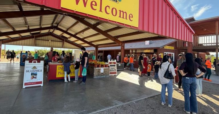The Arizona Food Festival You Can’t Miss This August And What To Eat There