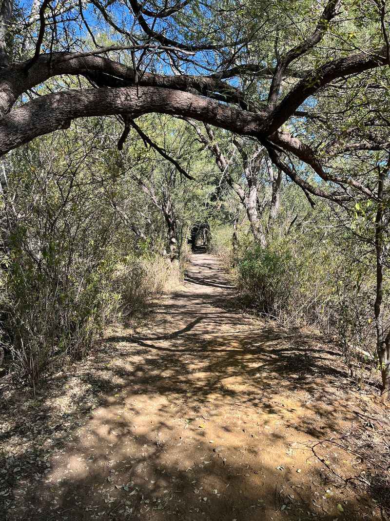 The Arizona Trail Runs Right Through The Arizona Trail Runs Right Through