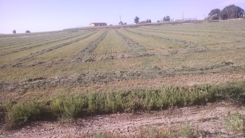 The Arkansas River Valley Soil That Makes The Magic Happen The Arkansas River Valley Soil That Makes The Magic Happen