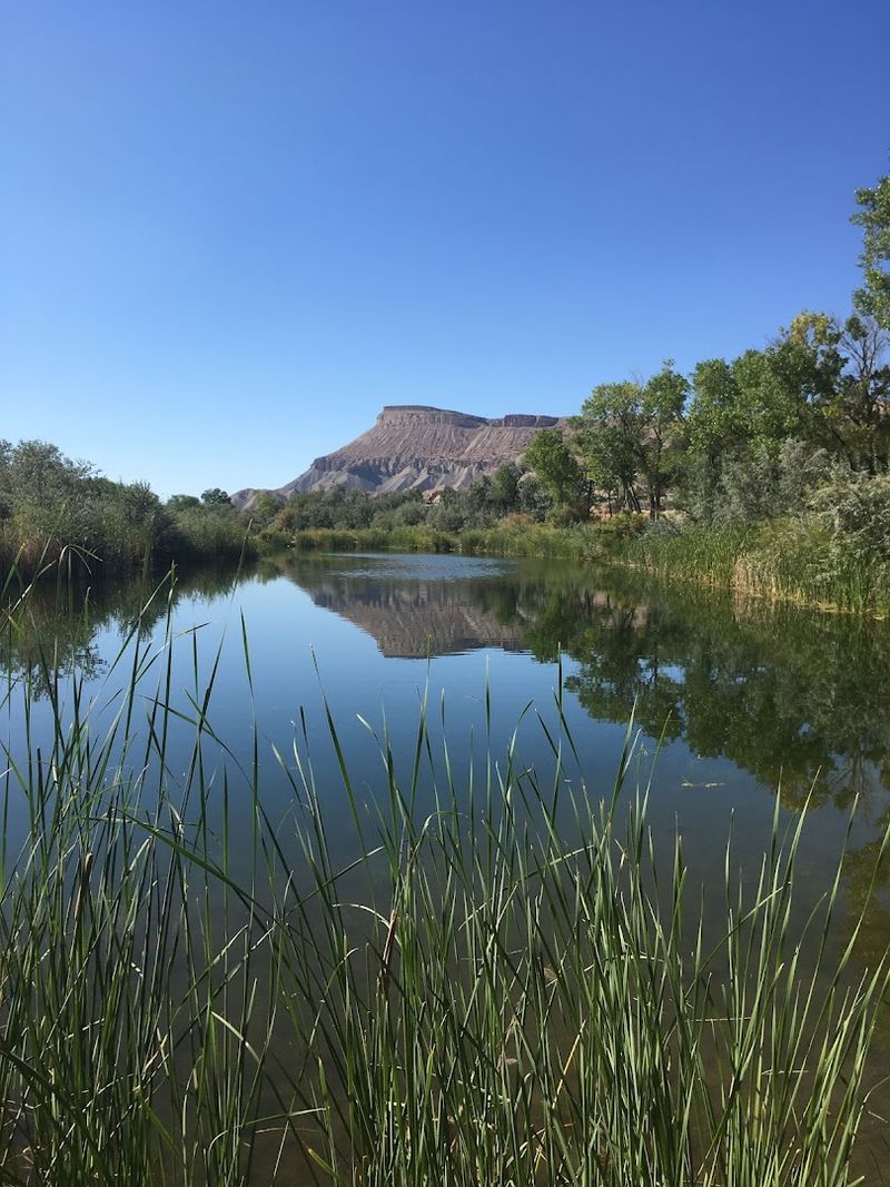 The Arrival Moment That Makes Colorado Feel Real
