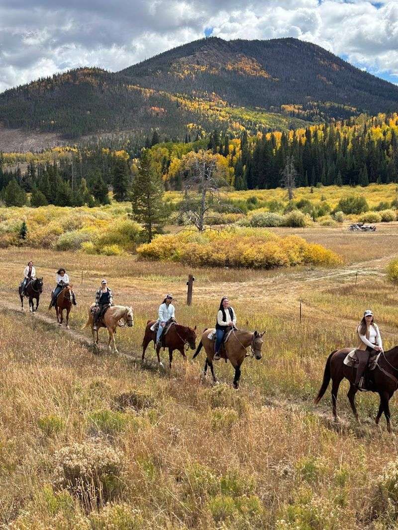 The Horses: Well-Cared-For, Well-Trained, and Worth Trusting