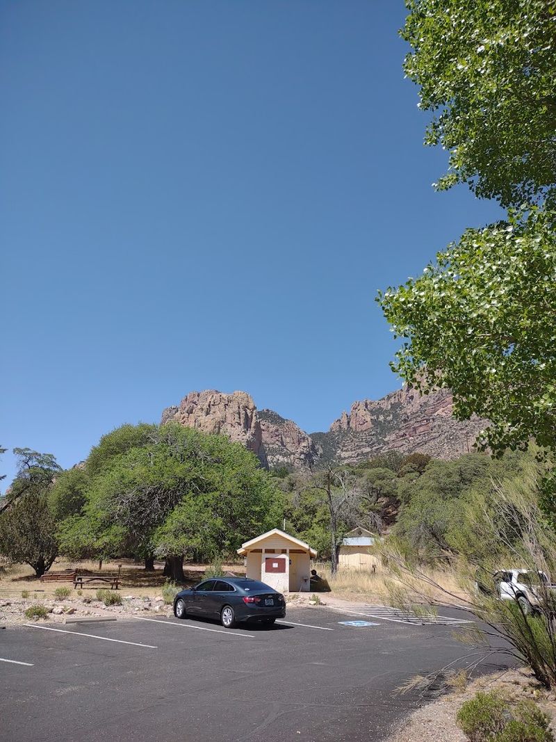 The Art Of Truly Unplugging In A Wild Place