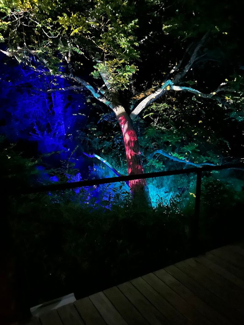 The Art Walk After Dark Is A Whole Separate Experience
