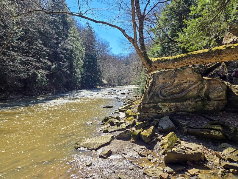 The Atmosphere Along the Riverbank