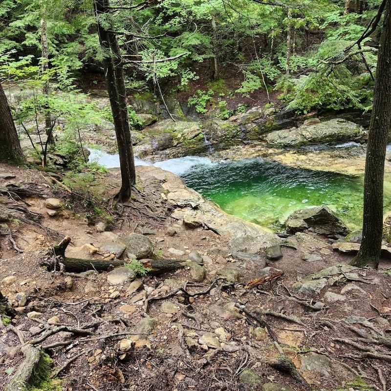 Tips For A Safe And Respectful Visit