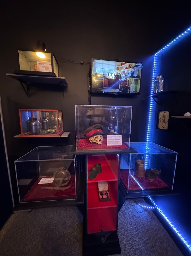 Room to Grow: A Museum Still Finding Its Full Potential