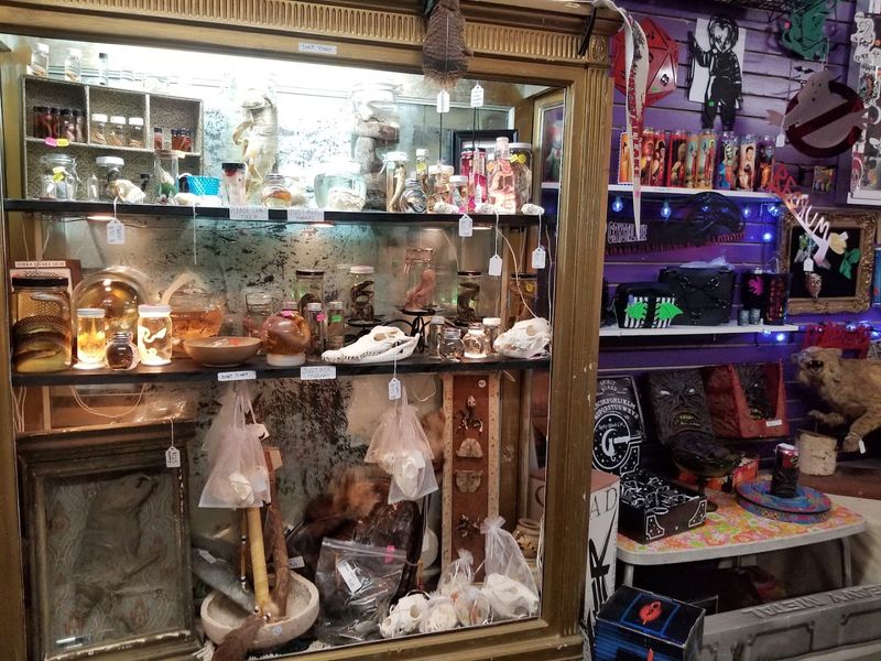 The Wildly Diverse Collection On Display