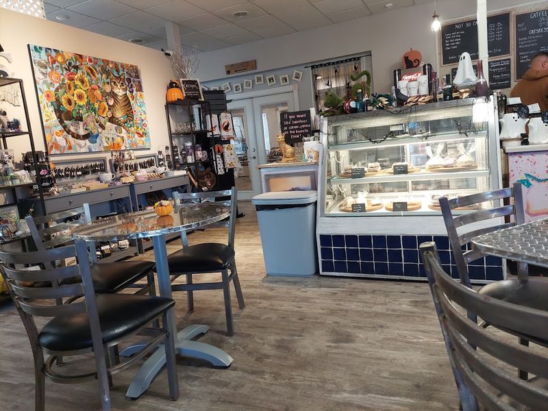 A Community Favorite With a 4.7-Star Rating and Counting