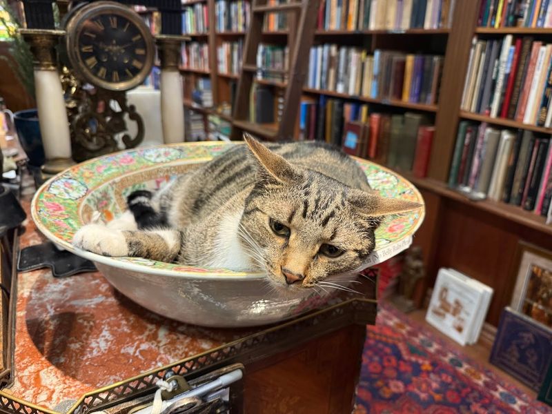 The Kind Of Place You Tell Every Book Lover About