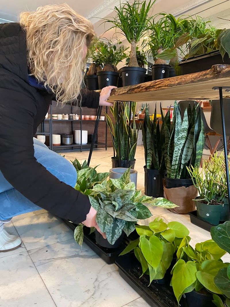 The Knowledgeable Owners Behind The Magic