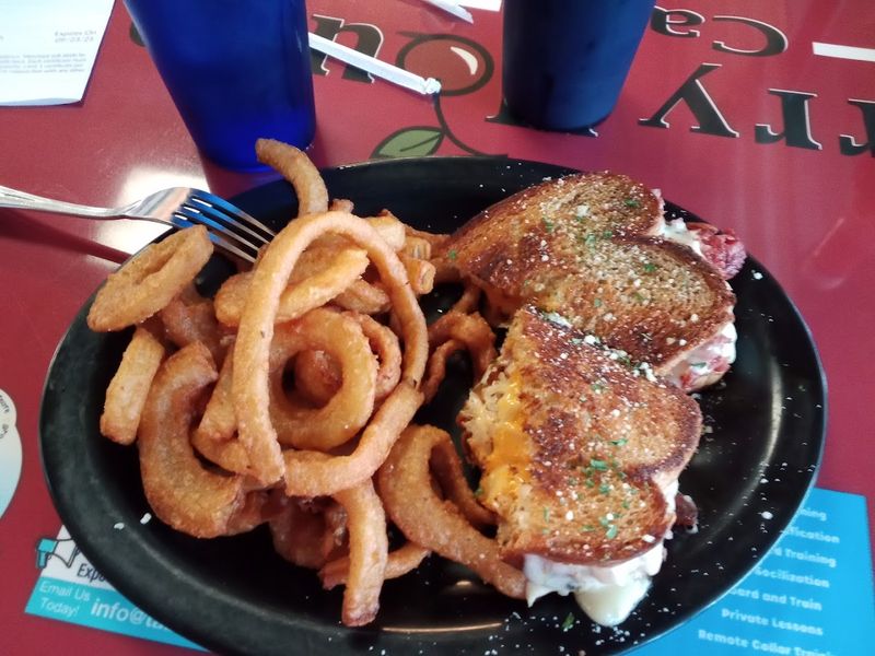 Sandwiches, Burgers, and the Onion Rings You Will Dream About