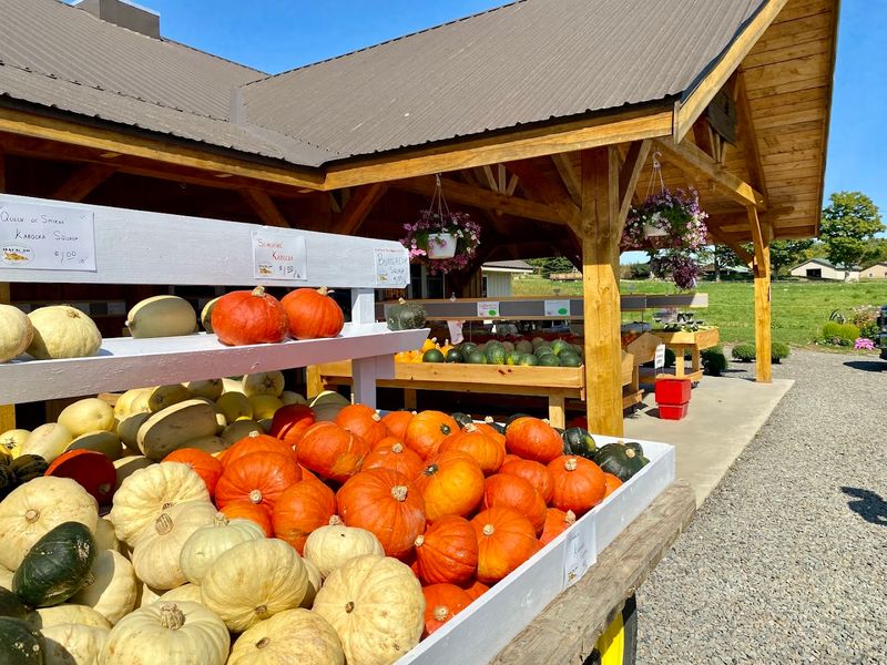 The Back 40 Farm Market, Smyrna Mills