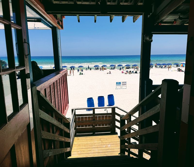 The Back Porch