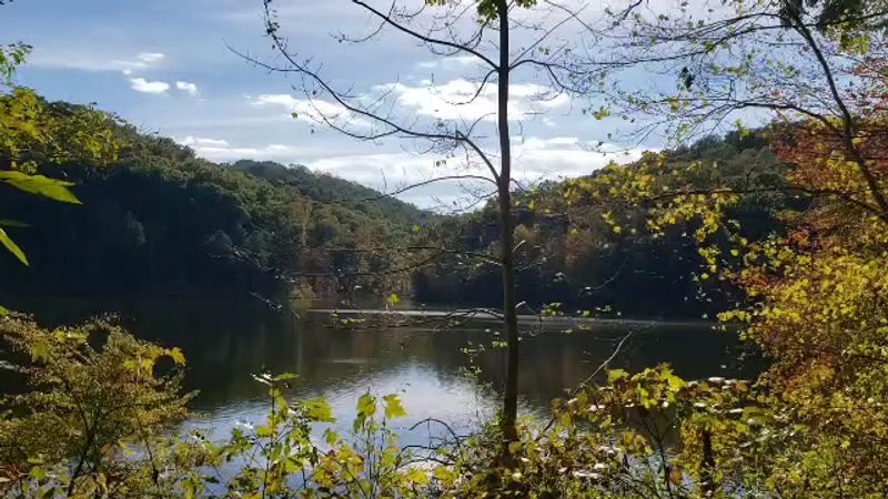 Turkey Creek Lake and the Butterfly Moment