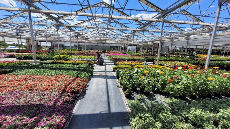 The Backstage Pass Every Gardener Secretly Wanted The Backstage Pass Every Gardener Secretly Wanted