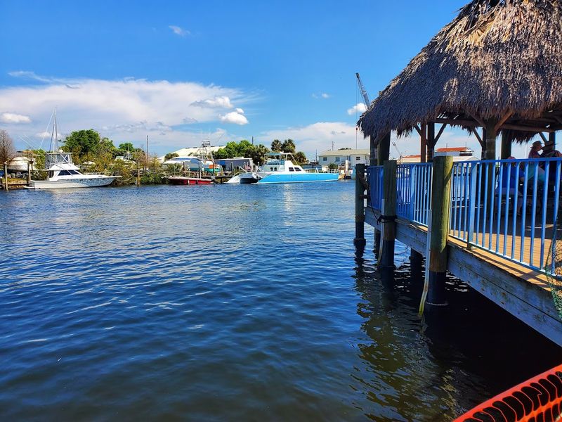 Seafood Taverns: Grilled Octopus And Gulf Breezes