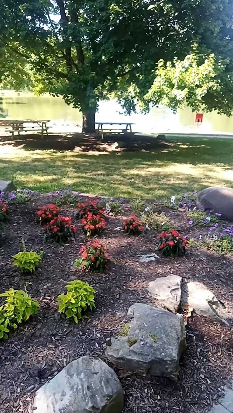 Ponds, Gardens, and Grounds Worth Exploring