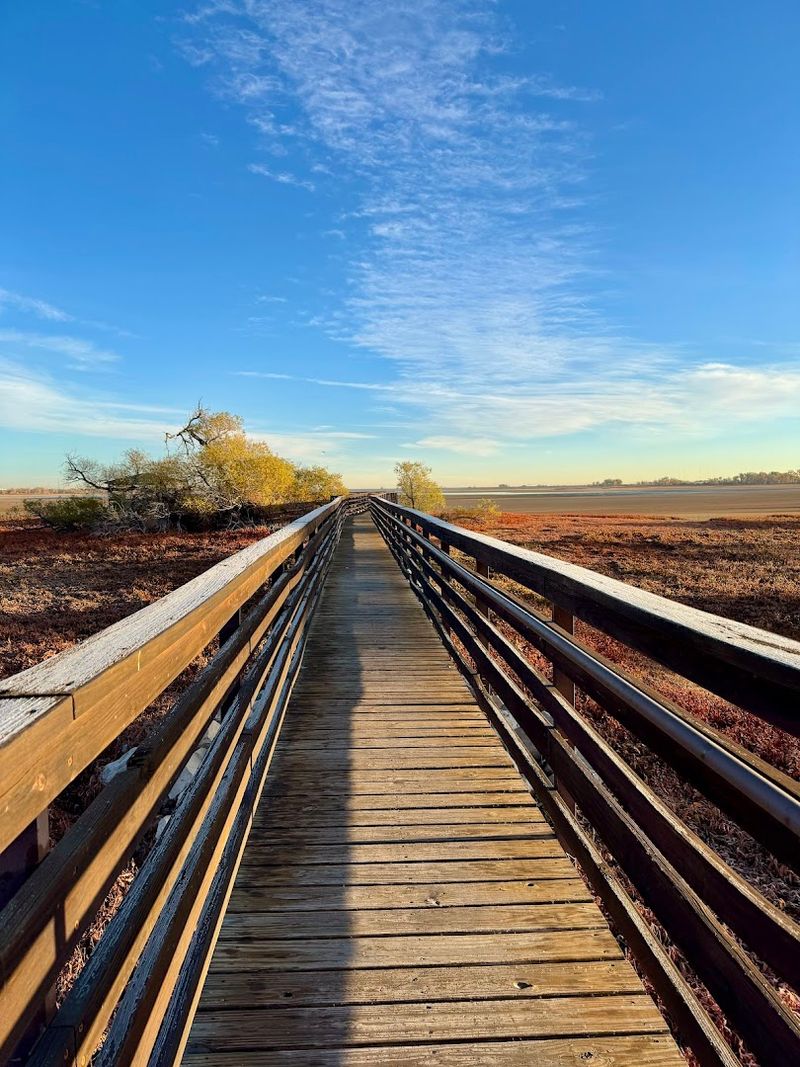 Nine Miles of Flat Trail That Actually Delivers on the Scenery Promise