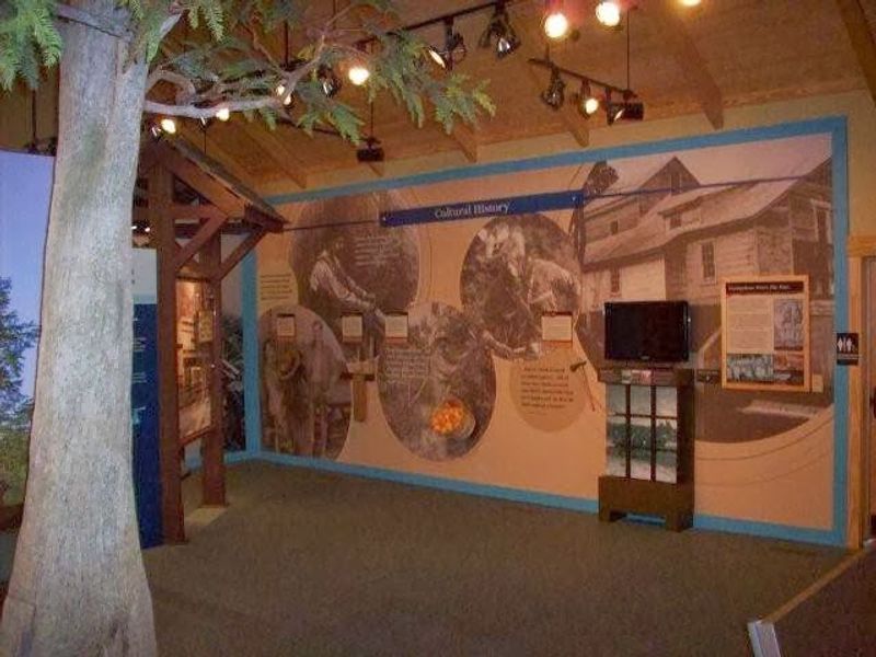 The Baldcypress Nature Center And Educational Programs The Baldcypress Nature Center And Educational Programs