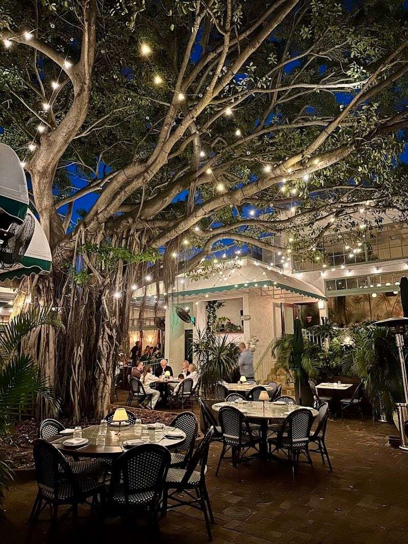 The Banyan Tree Is More Than Scenery