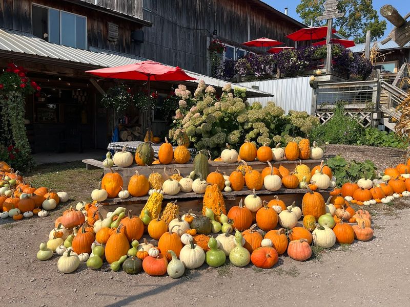 Farm-Fresh Ingredients Grown Right On The Property