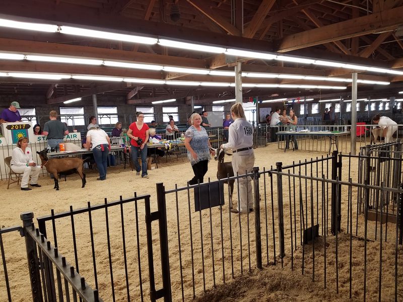 The Barns Are Where The Real Stars Live