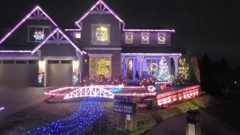 The Barshows: Play With Lights, Bothell, WA