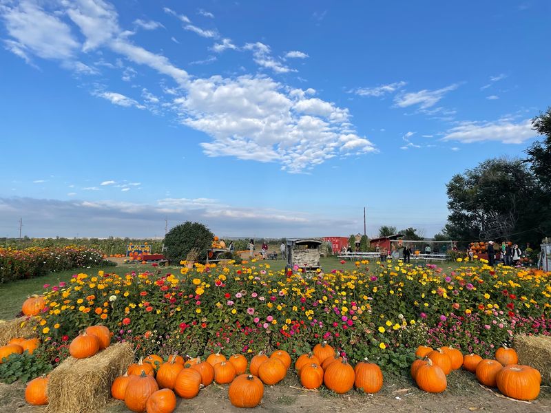 The Bartels Farm, Fort Collins, CO