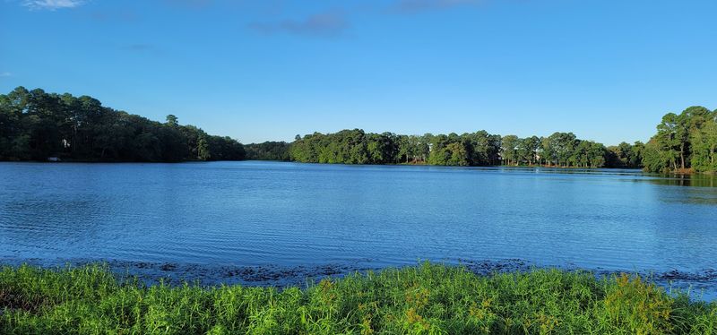 The Bass That Made This Pond Famous The Bass That Made This Pond Famous